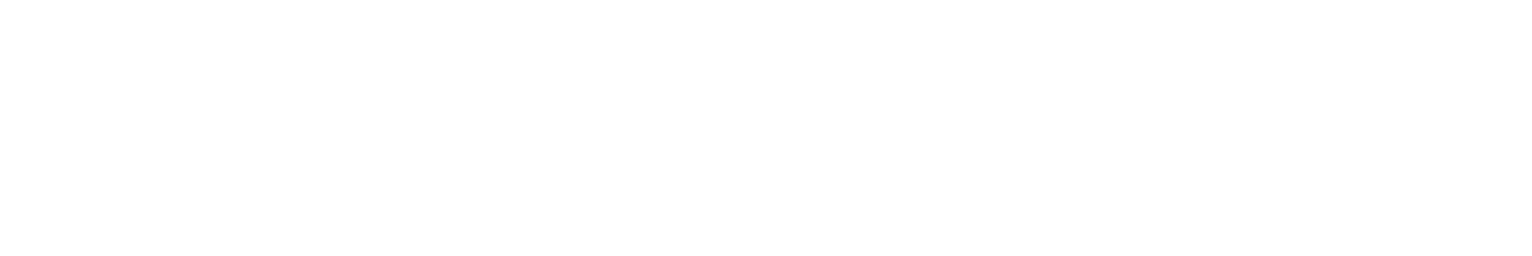 DL Paid Media